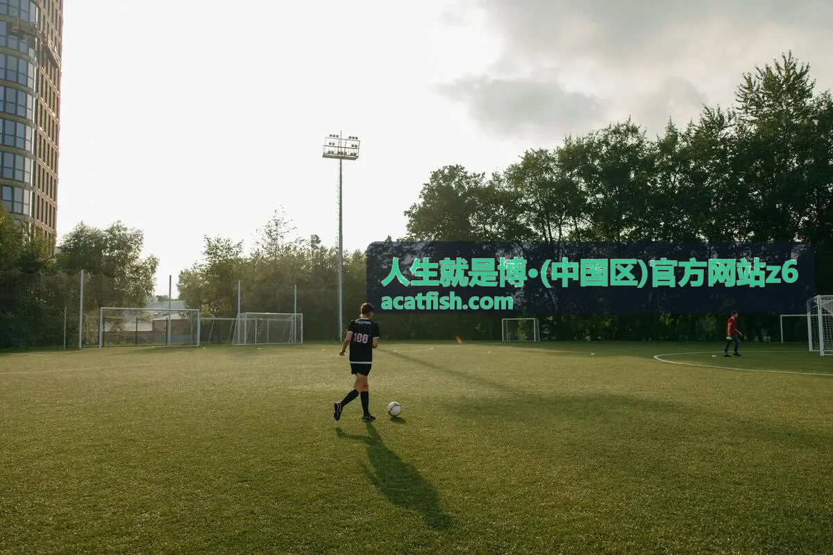 平台运营支持与持续优化服务说明