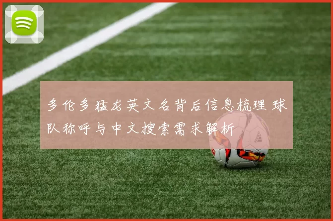 多伦多猛龙英文名背后信息梳理 球队称呼与中文搜索需求解析