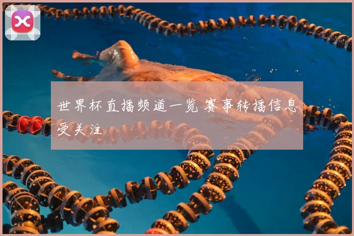 世界杯直播频道一览 赛事转播信息受关注