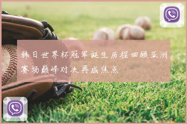 韩日世界杯冠军诞生历程回顾亚洲赛场巅峰对决再成焦点