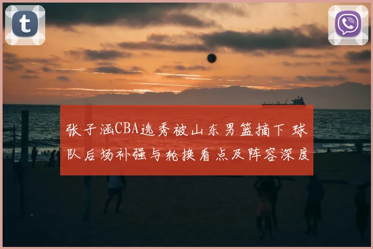 张子涵CBA选秀被山东男篮摘下 球队后场补强与轮换看点及阵容深度